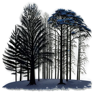 Misty Winter Morning Trees Png Nkb17 PNG image