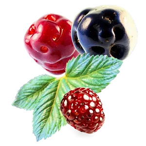 Mixed Berries Collection Png 89 PNG image