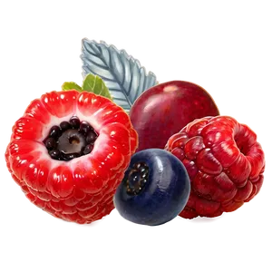 Mixed Berries Collection Png Uuq60 PNG image