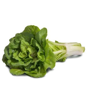 Mixed Lettuce Png 05242024 PNG image