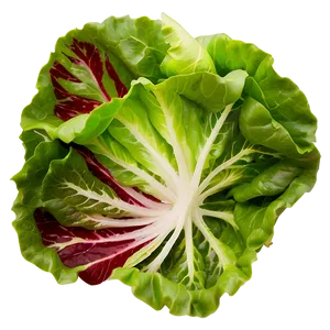 Mixed Lettuce Png 05242024 PNG image