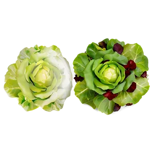 Mixed Lettuce Png Ifc15 PNG image