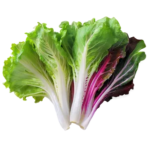 Mixed Lettuce Png Yae41 PNG image