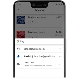 Mobile Checkout Screen Pay Pal Option PNG image