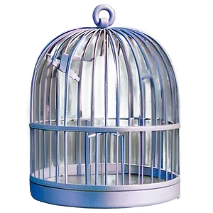 Modern Birdcage Art Png 06122024 PNG image