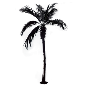 Modern Black Palm Tree Png 06262024 PNG image