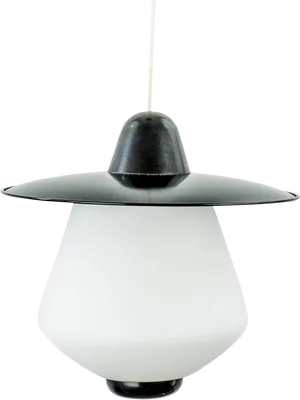 Modern Blackand White Pendant Light PNG image