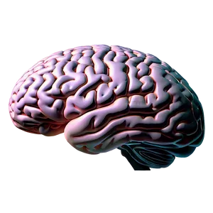 Modern Brain Outline PNG 06272024
