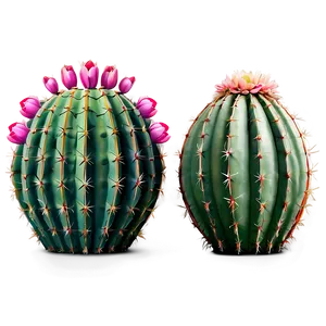 Modern Cactus PNG 31