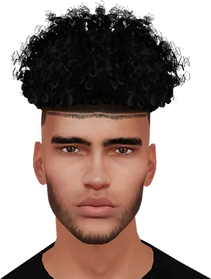 Modern Curly Top Fade Hairstyle