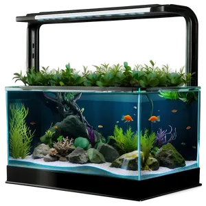 Modern Fish Tank PNG Hlc