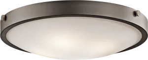 Modern Flush Mount Ceiling Light Fixture PNG image