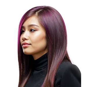 Modern Girl Hair PNG Lnp31 PNG