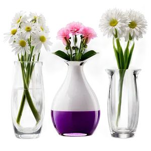 Modern Glass Flower Vase PNG Jec PNG