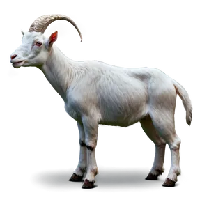 Modern Goat Png Orm44 PNG image