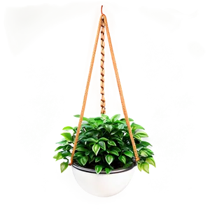 Modern Hanging Plant Png 80 PNG image