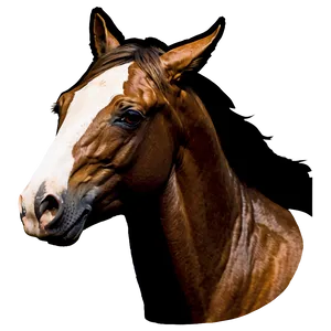 Modern Horse Head Logo Png 92 PNG image