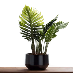 Modern Indoor Plants Png 9 PNG image