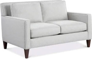 Modern Light Gray Loveseat Couch PNG image