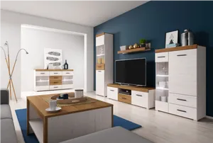 Modern Living Room Interior Design PNG image