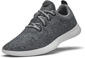 Modern Mens Casual Sneaker PNG image