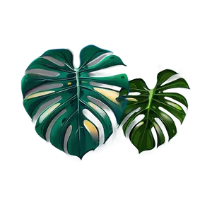 Modern Monstera Artwork PNG 53 PNG