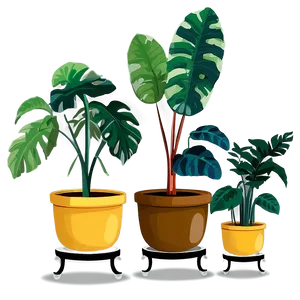 Modern Potted Plants PNG 4