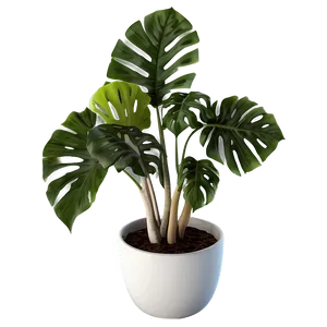 Modern Potted Plants PNG 42