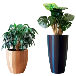 Modern Potted Plants PNG 68 PNG