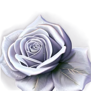 Modern Rose Vector Png 27 PNG image