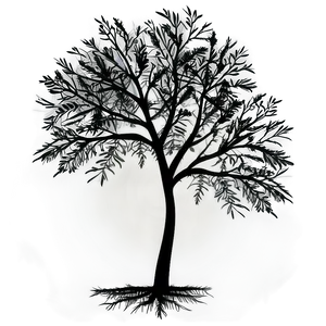 Modern Tree Silhouette Png Usj20 PNG image