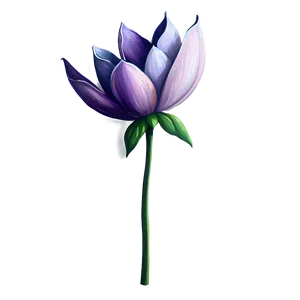 Modest Bloom Illustration Png 73 PNG image