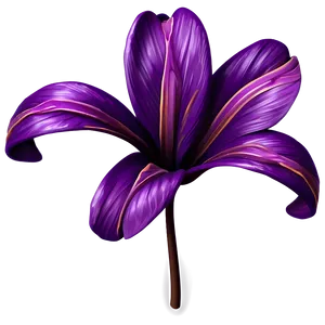 Modest Flower Artwork PNG 06202024 PNG