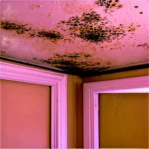 Mold On Ceiling Png 41 PNG image