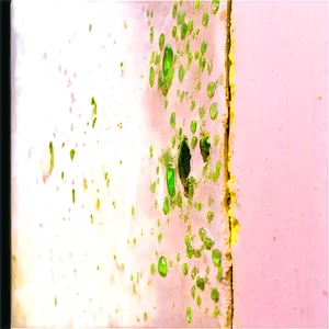 Mold On Wall Png 06132024 PNG image