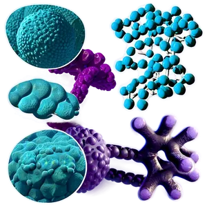 Molecular Biology Techniques PNG 05242024