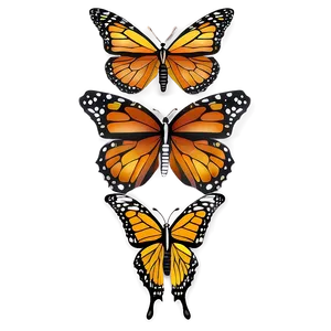 Monarch Butterflies A