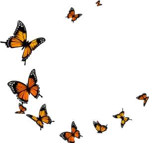 Monarch_ Butterflies_ Black_ Background PNG image
