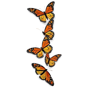 Monarch Butterflies Cluster Png 1 PNG image