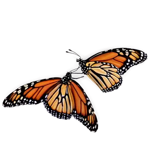 Monarch Butterflies In Forest Png Sjf PNG image