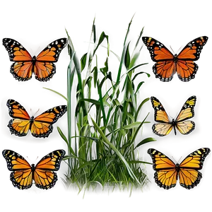 Monarch Butterflies In Grass PNG Grh PNG