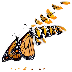 Monarch Butterflies In Nature PNG 06252024