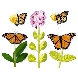 Monarch Butterflies In Spring Png 06252024 PNG image