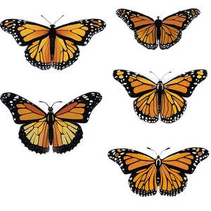Monarch Butterflies In Spring PNG 06252024 PNG