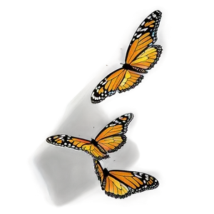 Monarch Butterflies In Sunset Png 06252024 PNG image