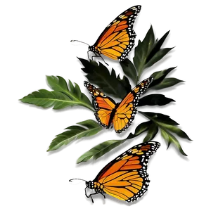 Monarch Butterflies In Sunset PNG Xjn PNG