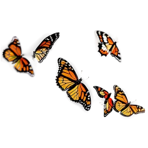Monarch Butterflies Landing PNG Fhb17 PNG