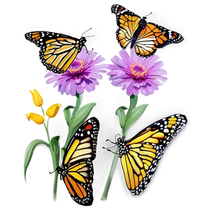 Monarch Butterflies On Flower PNG 06252024