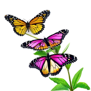 Monarch Butterflies PNG Ogy79