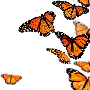 Monarch Butterflies Swarming PNG 06252024 PNG